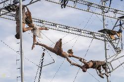 La Compagnie Zali